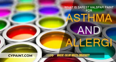 Valspar Paint: Safe Options for Asthma and Allergies