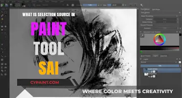 Understanding Paint Tool SAI's Selection Source: A Beginner's Guide