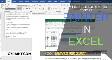 Master Excel's Format Painter with a Simple Shortcut