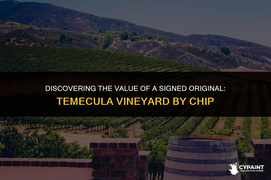 what is signed original painting of temecula vineyard by chip