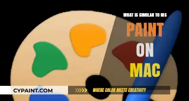 Best Mac Alternatives to MS Paint for Creative Drawing and Editing