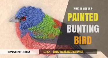 Discover the Vibrant Painted Bunting's Compact Size and Beauty