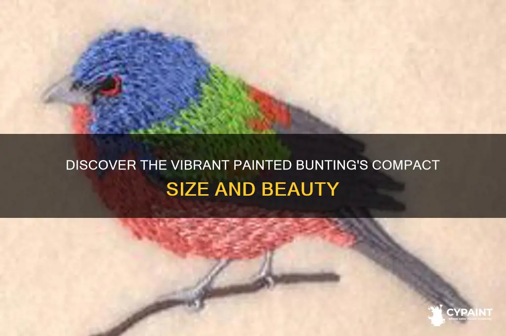 what is size of a painted bunting bird