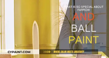 Farrow & Ball Paint: Why the Hype?