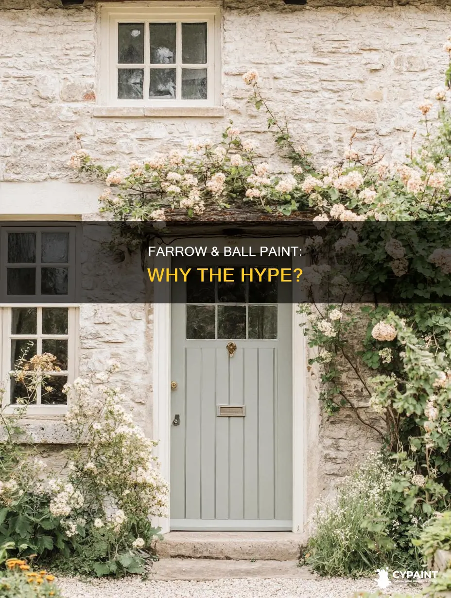 what is so special about farrow and ball paint
