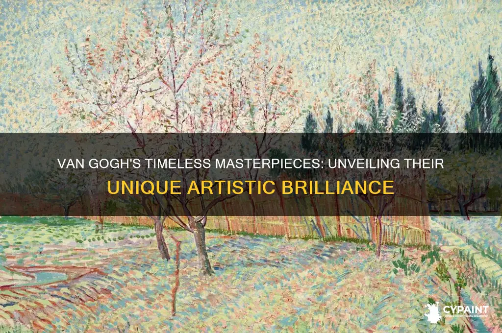 what is so special about van gogh paintings