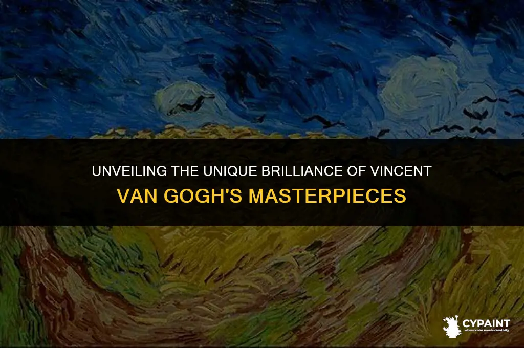 what is so special about vincent van gogh