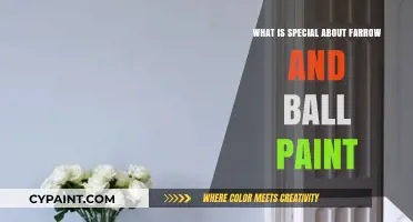 Why Farrow & Ball Paint Stands Out: Quality, Color, and Craftsmanship