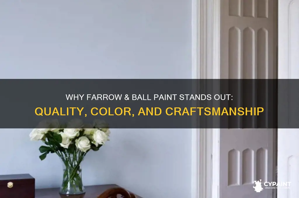 what is special about farrow and ball paint