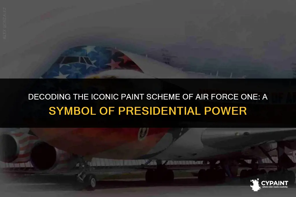what is special about the paint scheme of airforce 1