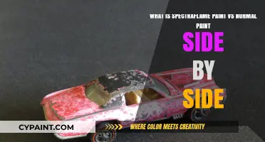 SpectraFlame vs Regular Paint: A Side-by-Side Comparison