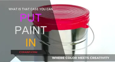 Paint Storage: What Cases to Use?