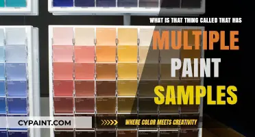Exploring the World of Color: A Guide to Paint Sample Displays
