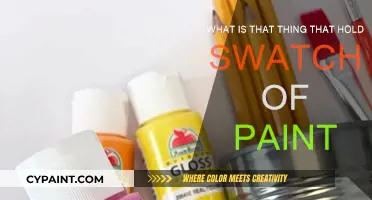 Choosing the Right Paint Swatch for Your Home