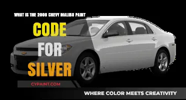 Decoding the Silver Paint Code for 2009 Chevy Malibu