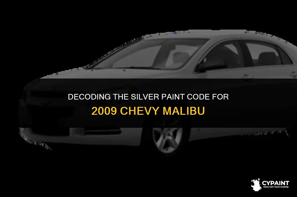 what is the 2009 chevy malibu paint code for silver