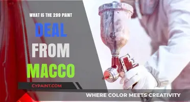 Unveiling Macco's $299 Paint Deal: What's Included and How It Works