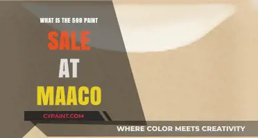 Maaco's 599 Paint Sale: Affordable Car Makeover Explained