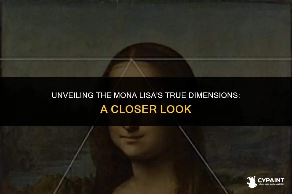 what is the actual size of the mona lisa painting