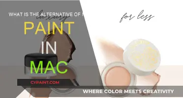 Best MS Paint Alternatives for Mac Users