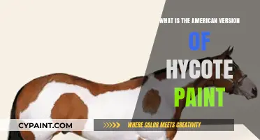 Discovering the American Equivalent of Hycote Paint: A Comprehensive Guide