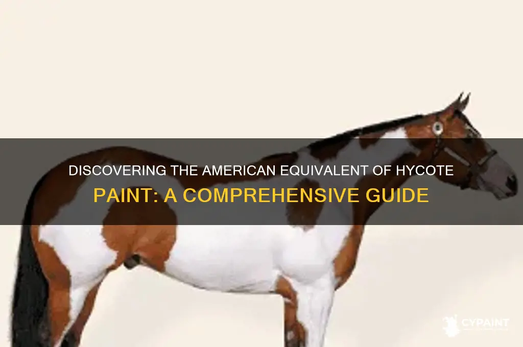 what is the american version of hycote paint