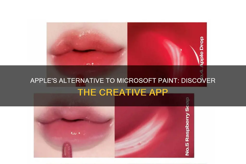 Apple's Alternative To Microsoft Paint Discover The Creative App CyPaint