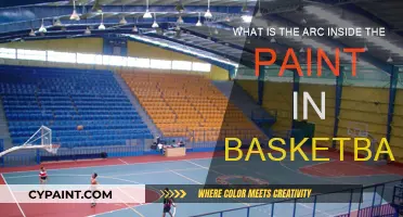 The Basketball Arc: Secrets of the Paint