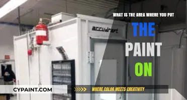 Exploring the Palette: Where Colors Come to Life