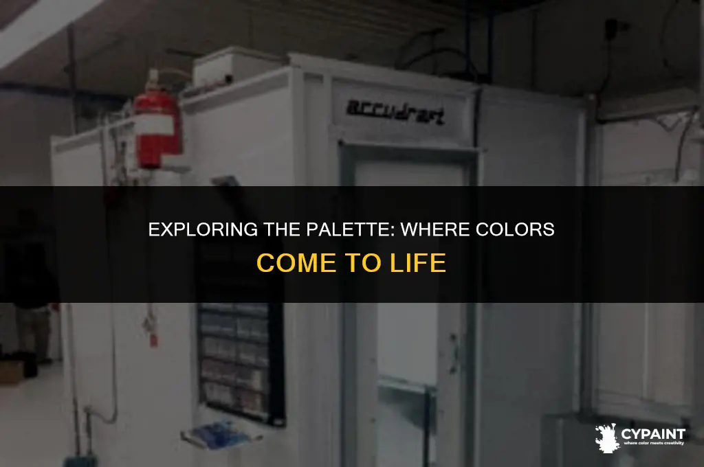 what is the area where you put the paint on