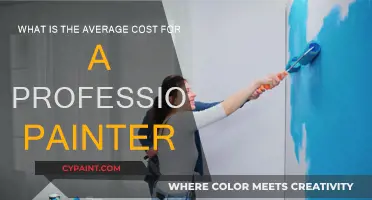 Cost of Hiring Professional Painters: Average Expenses