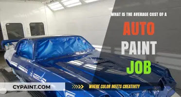 Exploring the Average Cost of an Auto Paint Job
