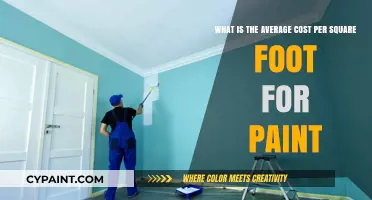 Decoding Paint Costs: A Guide to Square Foot Pricing