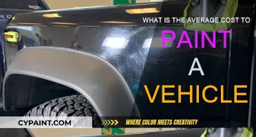 Cost to Paint a Vehicle: How Much?