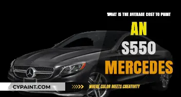 Exploring the Cost of Painting Your S550 Mercedes: A Comprehensive Guide