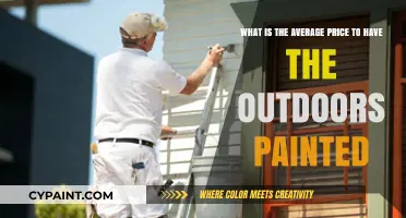Revamping Your Exterior: The Cost of Outdoor Painting Services
