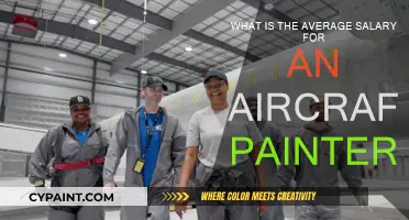 Lucrative Aircraft Painter Salary: How Much Can You Earn?