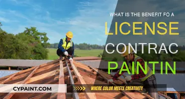 Licensed Contractor Painting: Professional Results, Peace of Mind