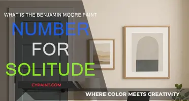 Solitude Paint Color: Benjamin Moore's Number for Peaceful Spaces