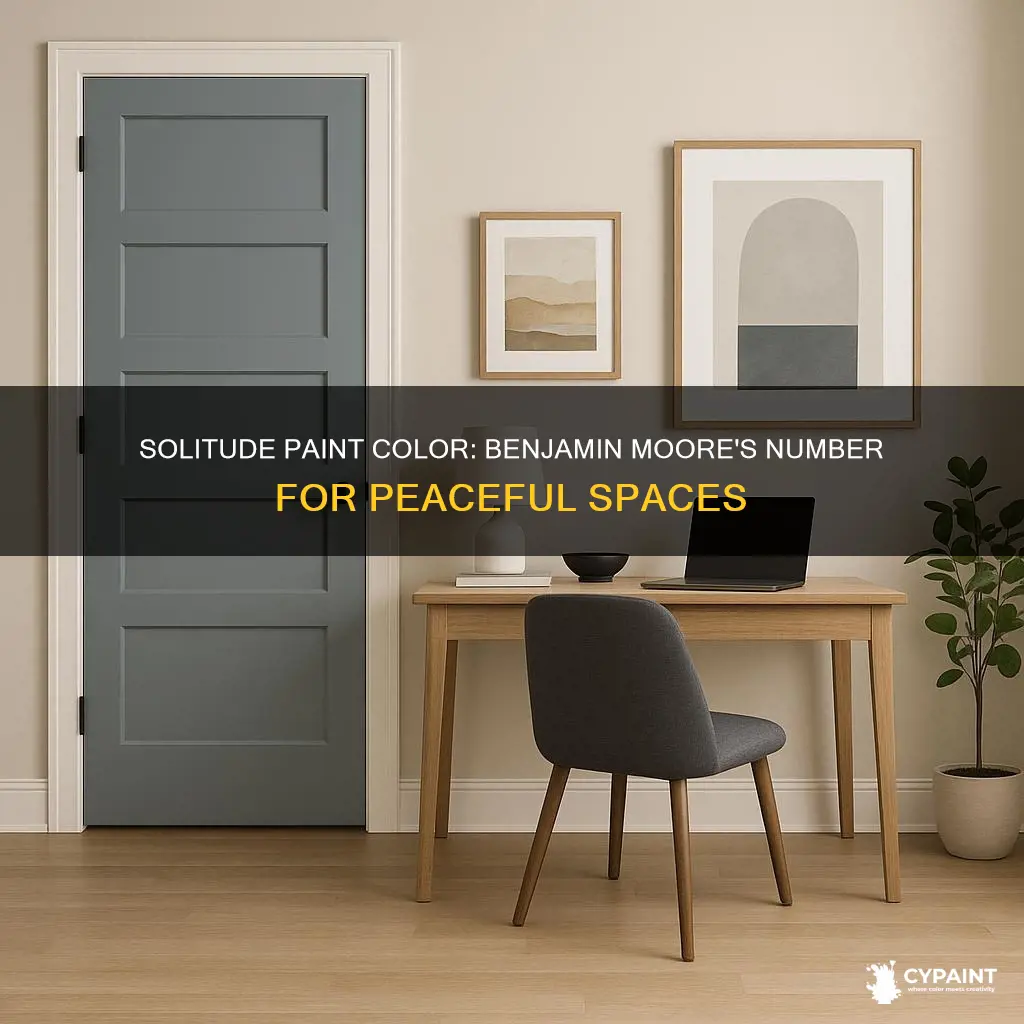 what is the benjamin moore paint number for solitude