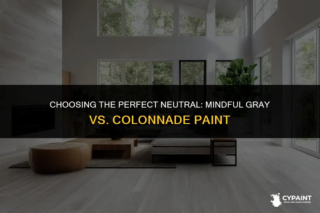 what is the better paint choice mindful gray or colonnade