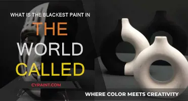 The Blackest Paint: World's Darkest Shade