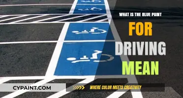 Understanding the Purpose of Blue Paint on Roads: A Driver's Guide