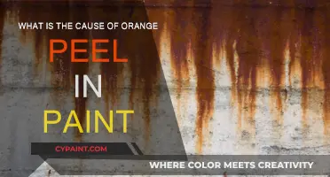 Understanding Orange Peel Effect: Paint Problems and Solutions