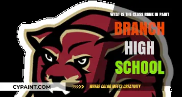 Understanding Class Rankings at Paint Branch High School: A Guide