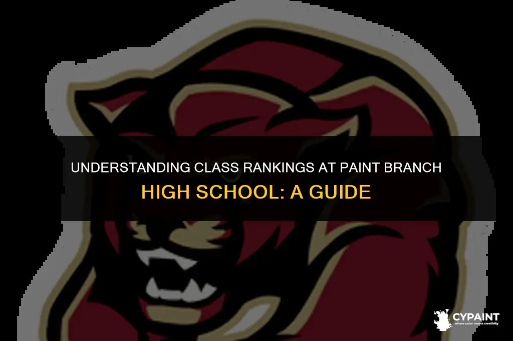 what is the class rank in paint branch high school