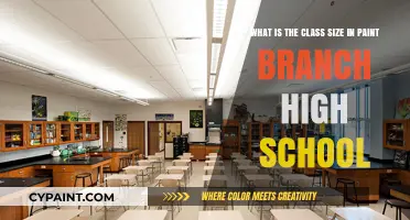 Exploring Class Sizes at Paint Branch High School: A Detailed Look