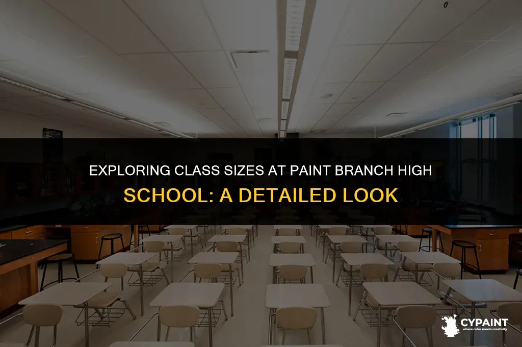 what is the class size in paint branch high school