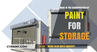 Understanding Paint Classification for Safe and Efficient Storage Solutions