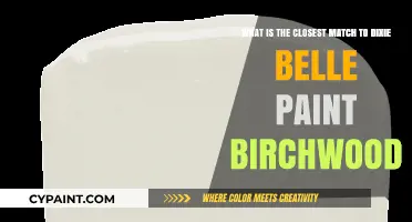 Finding the Perfect Match: Dixie Belle Paint's Birchwood Shade Alternatives